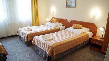 Фото номера Просторный двухместный номер с 2 отдельными кроватями Отель Hotel Salis г. Величка 4