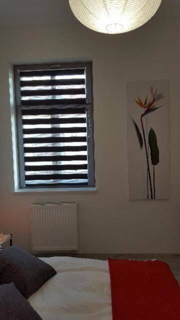 Фото Апарт-отели Apartament Solny Centrum Wieliczka 11 г. Величка 2